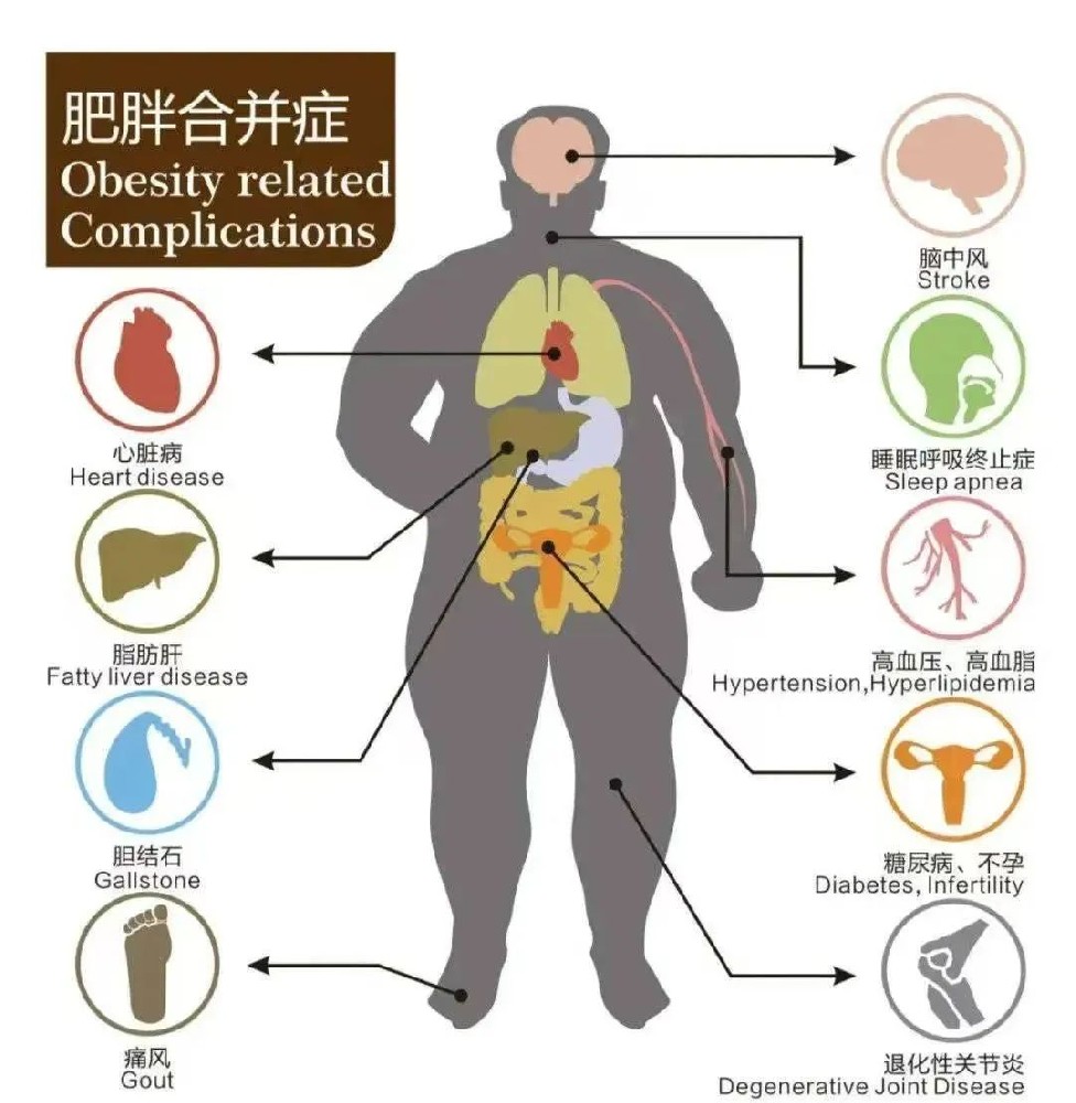 微信图片_20250716164359.jpg